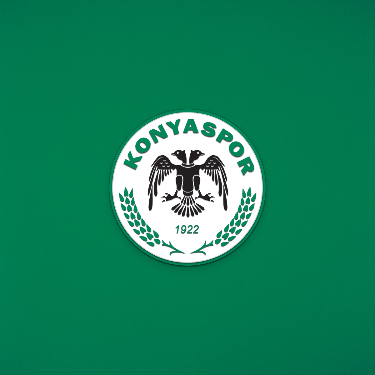 KAMUOYUNA